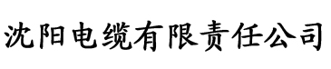 长日光阴电缆厂logo